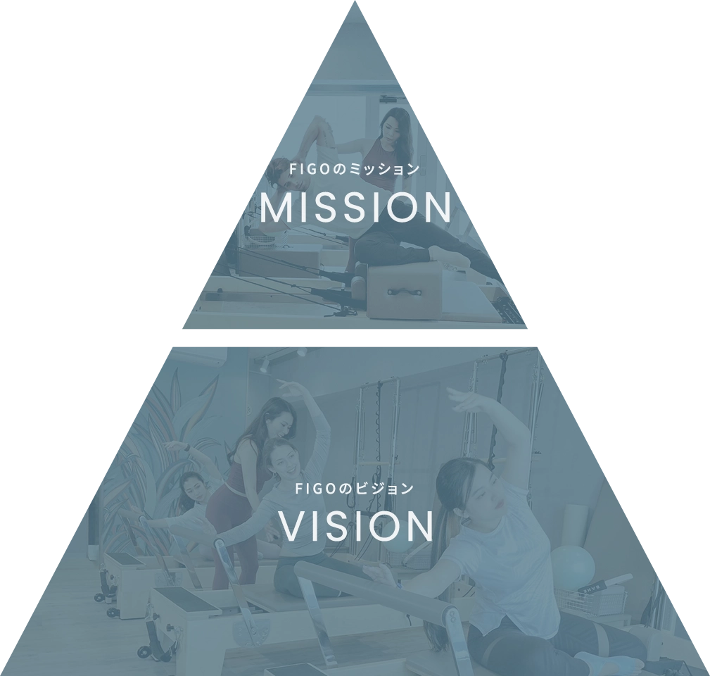 MISSION VALUE